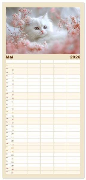 Produktbild: Familienplaner 2026 - Katzen - sanfte Sch&ouml;nheiten mit 5 Spalten (Wandkalender, 21 x 45 cm) CALVENDO