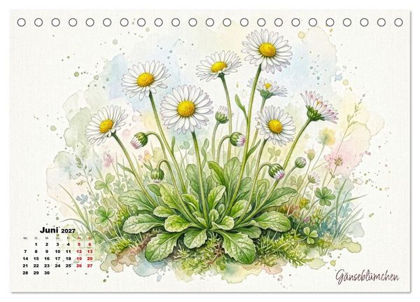 Produktbild: Wilde Kostbarkeiten &ndash; Essbar, gesund & wundersch&ouml;n (Tischkalender 2027 DIN A5 quer), CALVENDO Monatskalender