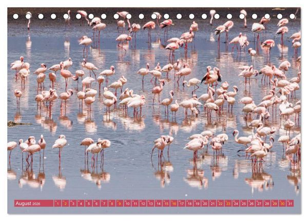 Produktbild: Flamingos am Lake Bogoria - Kenia (Tischkalender 2026 DIN A5 quer), CALVENDO Monatskalender