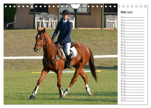 Produktbild: Mein Reitsport Kalender (Wandkalender 2026 DIN A4 quer), CALVENDO Monatskalender
