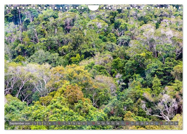 Produktbild: Australia - Metropolises &bull; Outback &bull; Rainforest &bull; Koalas (Wall Calendar 2026 DIN A4 landscape), CALVENDO 12 Month Wall Calendar
