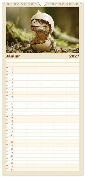 Produktbild: Familienplaner 2027 - Dino-Babys mit 5 Spalten (Wandkalender, 21 x 45 cm) CALVENDO