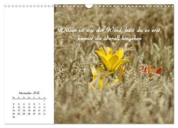 Produktbild: Innehalten in der Natur ... mit Weisheiten und Sprichworten der Indianer (Wandkalender 2026 DIN A3 quer), CALVENDO Monatskalender