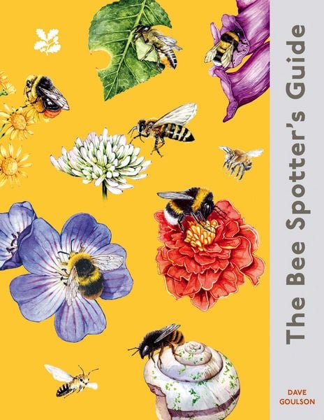 Produktbild: The Bee Spotter's Guide