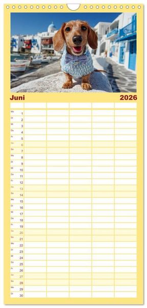 Produktbild: Familienplaner 2026 - Dackel auf gro&szlig;er Tour - S&uuml;&szlig;e Hunde entdecken die Welt mit 5 Spalten (Wandkalender, 21 x 45 cm) CALVENDO