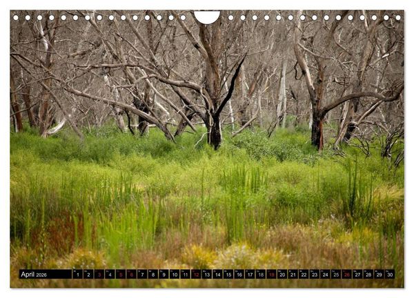 Produktbild: Kangaroo Island (Wandkalender 2026 DIN A4 quer), CALVENDO Monatskalender