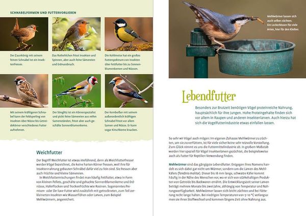 Produktbild: V&ouml;gel f&uuml;ttern im Garten