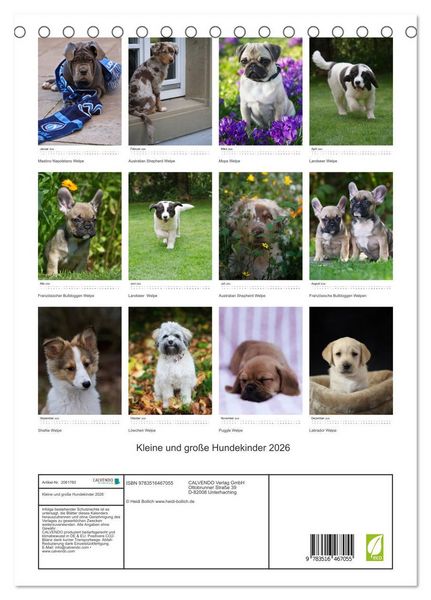 Produktbild: Kleine und gro&szlig;e Hundekinder 2026 (Tischkalender 2026 DIN A5 hoch), CALVENDO Monatskalender