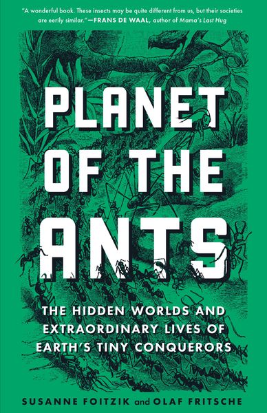 Produktbild: Planet of the Ants