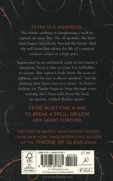 Produktbild: A Court of Thorns and Roses / A Court of Thorns and Roses Bd. 1