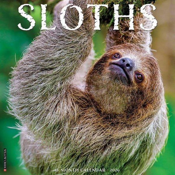 Produktbild: Sloths 2026 Wall Calendar