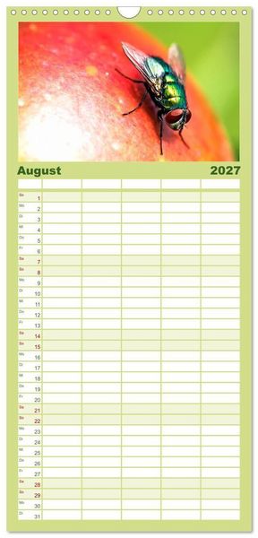 Produktbild: Familienplaner 2027 - INSEKTEN - Makrofotografie in freier Natur mit 5 Spalten (Wandkalender, 21 x 45 cm) CALVENDO