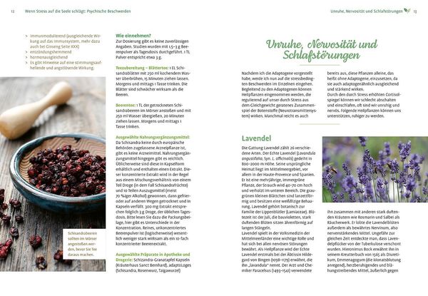 Produktbild: Mit Naturheilkunde Stress bew&auml;ltigen