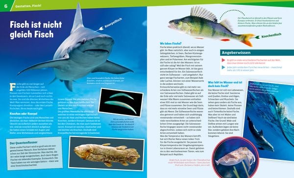 Produktbild: WAS IST WAS Band 41 Fische. Wunderwelt im Wasser