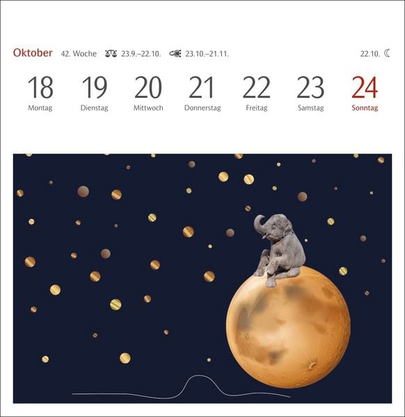 Produktbild: Welches Buch bin ich? Premium-Postkartenkalender 2027 - Literarischer R&auml;tselkalender