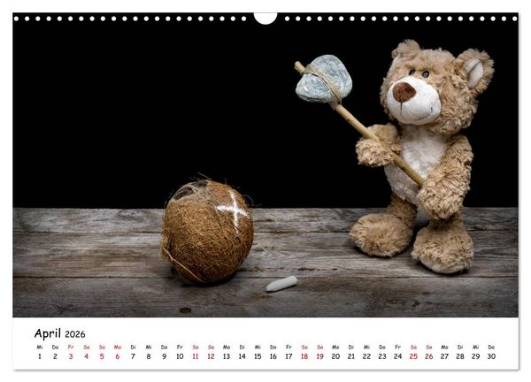 Produktbild: Eddy, der Teddy (Wandkalender 2026 DIN A3 quer), CALVENDO Monatskalender