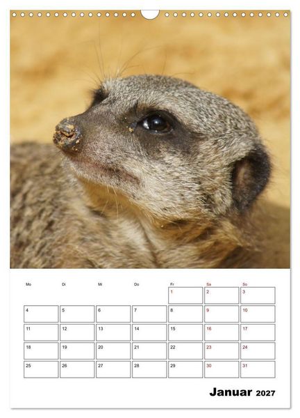 Produktbild: Niedliche Erdm&auml;nnchen (Wandkalender 2027 DIN A3 hoch), CALVENDO Monatskalender