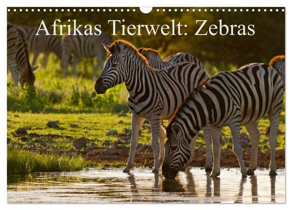 Produktbild: Afrikas Tierwelt: Zebras (Wandkalender 2026 DIN A3 quer), CALVENDO Monatskalender