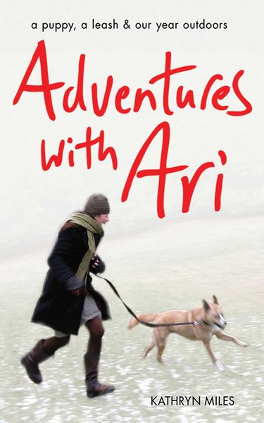 Produktbild: Adventures with Ari