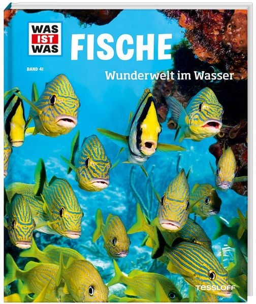 Produktbild: WAS IST WAS Band 41 Fische. Wunderwelt im Wasser