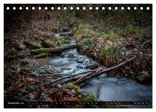 Produktbild: Wege des einfachen Gl&uuml;cks - Spazierg&auml;nge im Wald (Tischkalender 2026 DIN A5 quer), CALVENDO Monatskalender