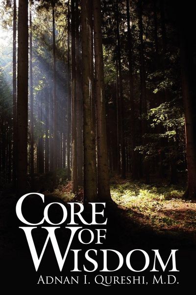 Produktbild: Core of Wisdom