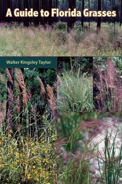 Produktbild: Gt Florida Grasses