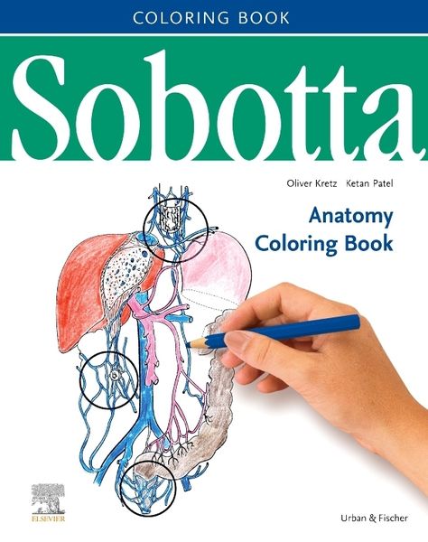 Sobotta Anatomy Coloring Book ENGLISCH/LATEIN, Taschenbuch von Oliver Kretz,Ketan Patel, Urban & Fischer, 978-0-7020-5278-1