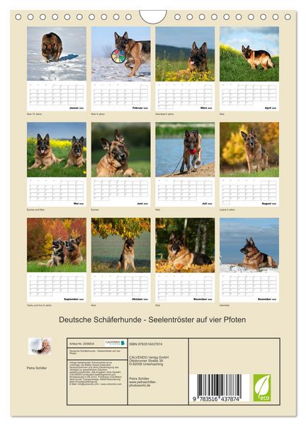 Produktbild: Deutsche Sch&auml;ferhunde - Seelentr&ouml;ster auf vier Pfoten (Wandkalender 2026 DIN A4 hoch), CALVENDO Monatskalender