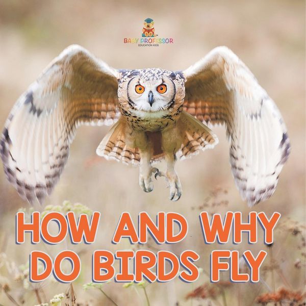 Produktbild: How and Why Do Birds Fly