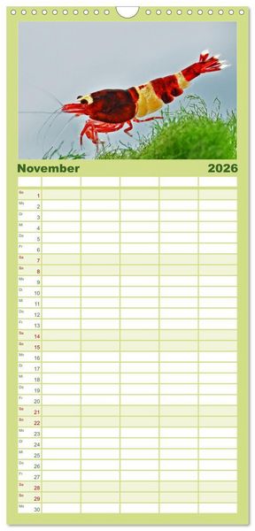 Produktbild: Familienplaner 2026 - Dwarf Shrimps mit 5 Spalten (Wandkalender, 21 x 45 cm) CALVENDO