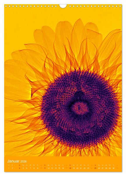 Produktbild: Durchleuchtete Blumenwelt 2026 (Wandkalender 2026 DIN A3 hoch), CALVENDO Monatskalender