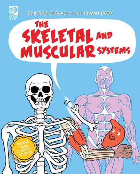 Produktbild: Skeletal and Muscular Systems