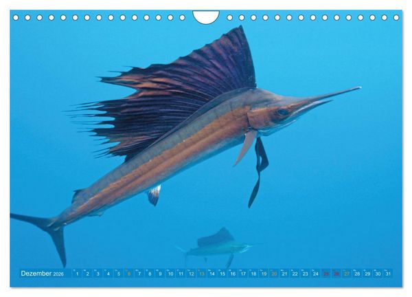 Produktbild: Planet Wasser: Von wegen Planet Erde (Wandkalender 2026 DIN A4 quer), CALVENDO Monatskalender