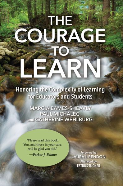 Produktbild: The Courage to Learn