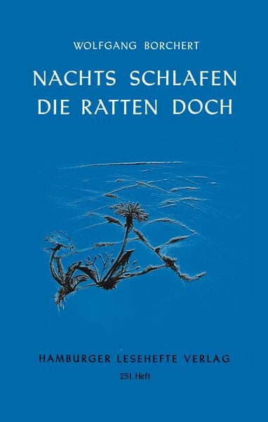 Produktbild: Nachts schlafen die Ratten doc