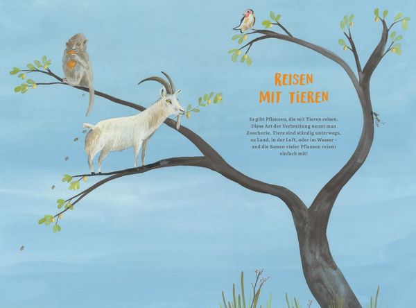 Produktbild: Wie Pflanzen reisen