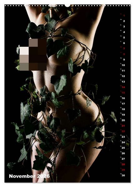 Produktbild: Fesselnde Sch&ouml;nheit (hochwertiger Premium Wandkalender 2026 DIN A2 hoch), Kunstdruck in Hochglanz