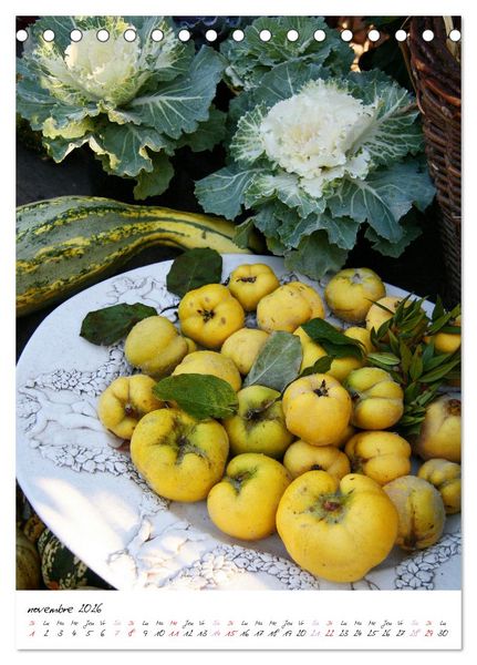 Produktbild: Heureux au jardin (Calendrier de bureau 2026 DIN A5 horizontal), CALVENDO calendrier mensuel