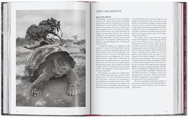 Produktbild: Sebasti&atilde;o Salgado