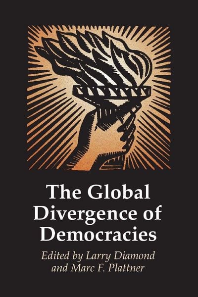 Produktbild: The Global Divergence of Democracies