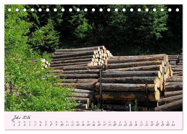 Produktbild: Wald und Baum 2026 (Tischkalender 2026 DIN A5 quer), CALVENDO Monatskalender