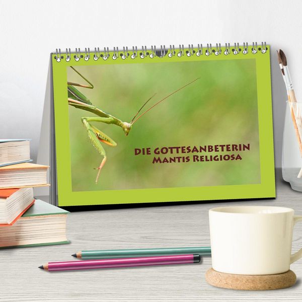 Produktbild: Die Gottesanbeterin Mantis Religiosa (Tischkalender 2026 DIN A5 quer), CALVENDO Monatskalender