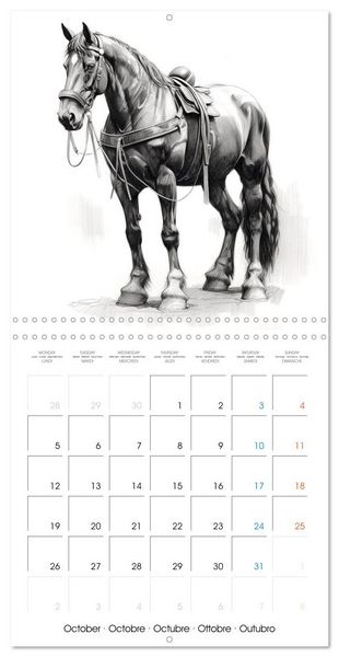 Produktbild: &Eacute;l&eacute;gance &eacute;quine (Calendrier mural carr&eacute; 2026 30x30 cm) Calendrier double avec une page pour vos prises de notes