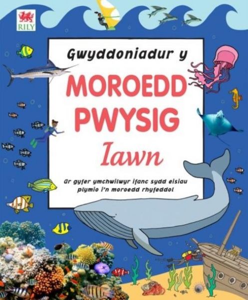 Produktbild: Gwyddoniadur y Moroedd Pwysig Iawn