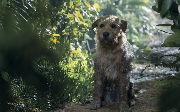 Produktbild: Arthur der Grosse (4K Ultra HD) (+ Blu-ray)