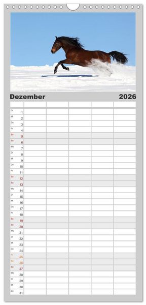 Produktbild: Familienplaner 2026 - Pferde - im Galopp durch's Jahr mit 5 Spalten (Wandkalender, 21 x 45 cm) CALVENDO