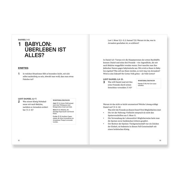 Produktbild: Daniel | Arbeitsheft (Die Bibel erkl&auml;rt)