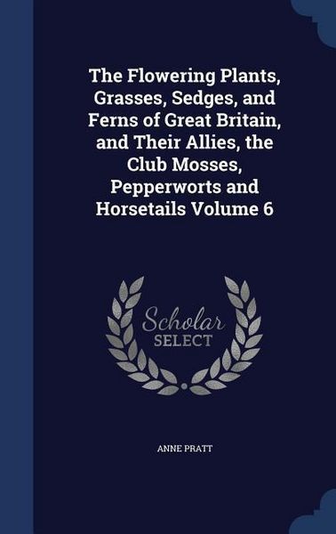 Produktbild: The Flowering Plants, Grasses, Sedges, and Ferns of Great Britain, and Their Allies, the Club Mosses, Pepperworts and Horsetails Volume 6