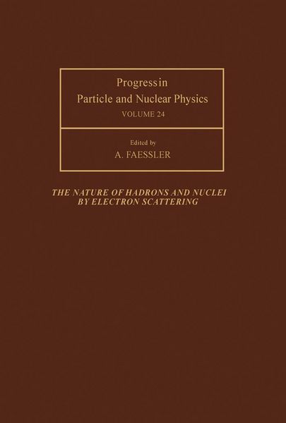 Produktbild: The Nature of Hadrons and Nuclei by Electron Scattering